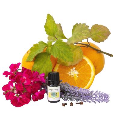 Wild Essentials Arbol Tree of Life Essential Oil Diffuser Necklace Gift Set | Aromatherapy Pendant Stainless Steel Chain Refill Pads & Inner Calm Oil - International Shipping - Buy Online on GoSupps.com