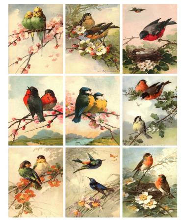 Catherine Klein Vintage Victorian Birds Collage Sheet 8.5 x 11" Bird Art for Scrapbooking, Card Making
