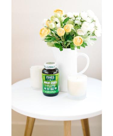 PINES Organic Wheat Grass Tablets - 250 Count | Featured in Ocean's 8 - Buy Online on GoSupps.com
