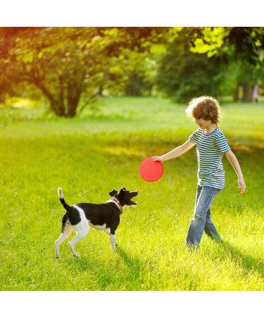 Bramble 12 Colorful Frisbees for Children & Dogs - 23 cm Durable Outdoor Fun - Perfect for Beach Play - Buy Online on GoSupps.com