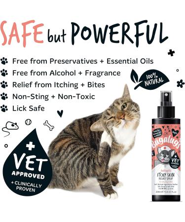 BUGALUGS Cat itchy skin relief Antiseptic spray 200ml for kitten cats & small animals - cat anti scratch cat spray is Antibacterial Antifungal & Antiviral use for cat acne - Buy Online on GoSupps.com
