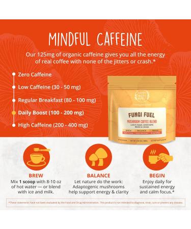 Happy Healthy Hippie Mushroom Coffee Instant with 125mg Caffeine Lion s Mane Cordyceps Reishi & Chaga | Adaptogen Nootropic Instant Mushroom Coffee for Energy & Focus | Medium Roast 30 Servings - Buy Online on GoSupps.com