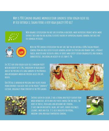 Eco Farm Il Sogno Verde - Extra Virgin Olive Oil - Organic - DOP Canino - Monocultivar Caninese - 100% Italian - From centuries-old olive trees - Artisan quality - Cold extract - 5 L - Buy Online on GoSupps.com