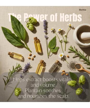 Herbis Natural Hair Shine & Vitality Shampooing avec extraits de Hops & Plantain 300 ml - Buy Online on GoSupps.com