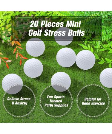 Libima Mini Golf Stress Balls - 20 Piece Bulk Set for Stress Relief & Party Favors | Foam Golf Practice Balls with Storage Bag - White - Buy Online on GoSupps.com