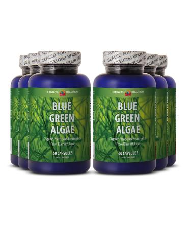 Spirulina chlorella powder organic - BLUE GREEN ALGAE - boost immune function - spirulina organic capsules - blue spirulina - spirulina detox - antioxidants supplement for skin - 6 Bottles 360 Caps