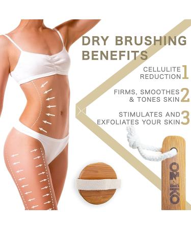 Ozziko Anti Cellulite Dry Brushing Body Brush with Natural Boar Bristles for Exfoliation and Lymphatic Drainage - Buy Online on GoSupps.com