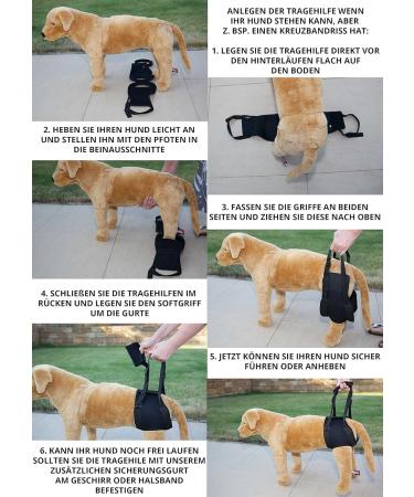 Nature PET Carrier for Dogs - Stair Aid with Carrying Strap Ideal for Older & Sick Dogs - Dog Lift (L Blue) | 1 Pack - Buy Online on GoSupps.com