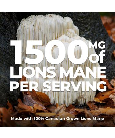 MAXIMUM POTENCY Lions Mane Supplement Extract Capsules 1500mg per Serving (3 capsules) Potent Brain Nootropic Supplement Improved Focus Memory and Increased Energy. Perfect for making Mushroom Coffee. Non-GMO Vegan Gluten Free. 120 Canadian Grown Mushroom - Buy Online on GoSupps.com