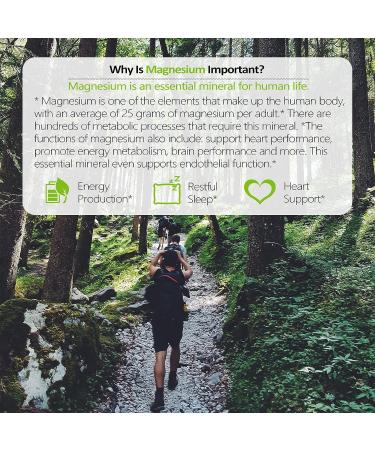 High Absorption Magnesium Supplement Complex - 90 Veg Caps | Non-GMO, Vegan, Gluten & Soy Free - Buy Online on GoSupps.com