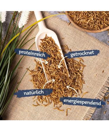 Lyra PET Mealworms 3 x 1 kg | Premium Fish Feed for Decorative & Pond Fish | Rich in Protein Vitamins & Minerals | Ideal Nutrient Source for KOI - Buy Online on GoSupps.com