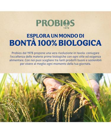  Probios Probios Rice & Rice Risotto with Artichokes Gluten Free Ready to Bake 250g Pack of 8 - Buy Online on GoSupps.com