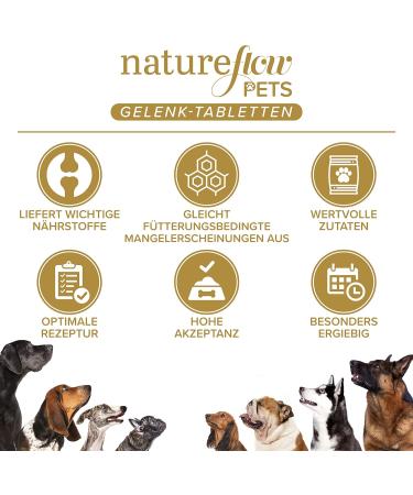 Nature EXFLOW JOUND TOWS - Premium Joint Tablets for Dogs | German Quality with Green Lip Shell MSM & Devil's Claw | 300 Pieces (3 Pack) - High Acceptance No Capsules - Buy Online on GoSupps.com