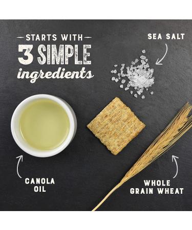 Triscuit Hint of Sea Salt Whole Grain Wheat Crackers 8.5 oz (Pack of 6) - Lightly Salted Snack Option - Buy Online on GoSupps.com