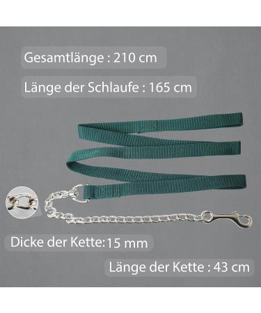 Guide for Horses - Safe Leading with Iron Chain & Nylon Handle | 2.10m Length | Ideal for Stallions Dogs Ponies & Donkeys - Dark Green - Buy Online on GoSupps.com