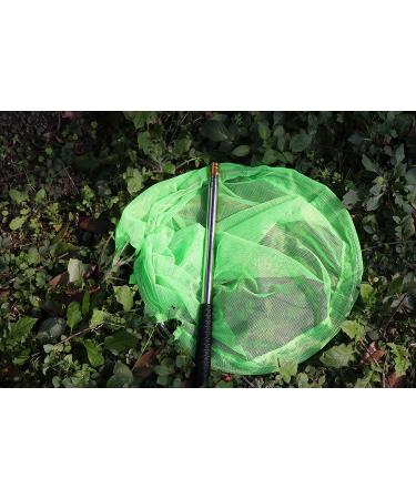 RESTCLOUD Bait Net and Fishing Landing Net - Telescoping Pole Handle (59 inches) - Green - Buy Online on GoSupps.com