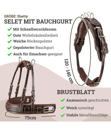 Professional Esposita Carriage Dishes for Shettys Ponies & Horses - Mini Shetty to XL Cold Blood Routing Dishes - Buy Online on GoSupps.com