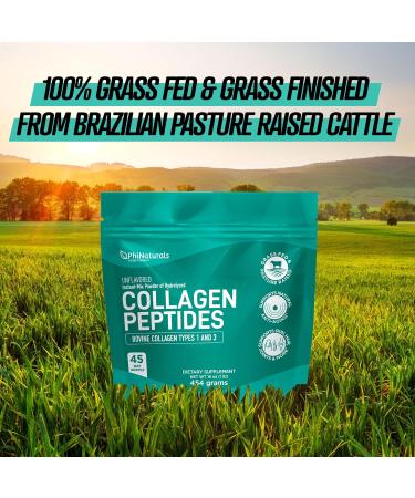 Collagen Peptides Protein Powder Instant-Mix Unflavored Hydrolyzed Collagen Supplement from Pasture-Raised Grass-Fed Bovine Beef Non-GMO Keto & Paleo Friendly Anti-Aging Supplements PhiNaturals - Buy Online on GoSupps.com