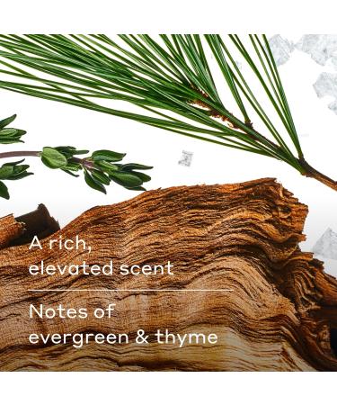 Harry's Men's Body Wash - Redwood - 30 fl oz - Shower Gel for Men - No Parabens, Sulfates, or Dyes (Pack of 3) - Buy Online on GoSupps.com