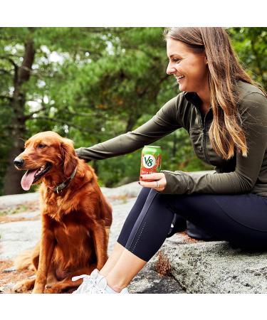 V8 Spicy Hot 100% Vegetable Juice 11.5 oz Can, Pack of 6 - 11.5 Fl Oz Spicy Hot, 6-Pack - Buy Online on GoSupps.com