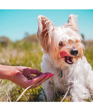 Pupford Freeze Dried Dog Training Treats | 475+ Low Calorie, Healthy & Delicious Dog & Puppy Treats - Made in USA | Beef Liver, Chicken, Rabbit, Salmon & Sweet Potato Chicken Options | 4oz Pack - Buy Online on GoSupps.com