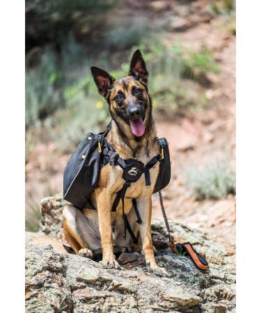 OllyDog Trekker RF Dog Backpack Harness - Lightweight Saddle Bag for Walking, Camping, and Backpacking - Medium Raven - Buy Online on GoSupps.com