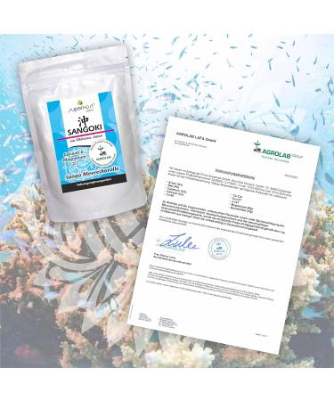 Sango Sea Coral Powder Calcium & Magnesium 250g - Optimal 2:1 Ratio for Enhanced Health | Free International Shipping - Buy Online on GoSupps.com