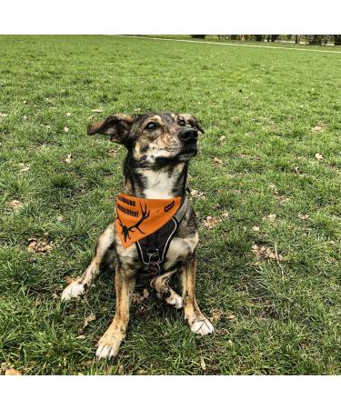 Printplanet Dog Scarf with Custom Name | Hunting Dog Design | Size S - Perfect for Your Pet! - Buy Online on GoSupps.com