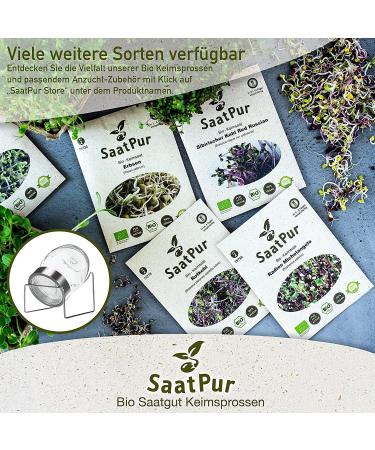 SaatPur ORGANIC Sprouts Assortment | 4 Varieties: Red Energy Mix Radish Red Cabbage Basil Beetroot - International Shipping Available - Buy Online on GoSupps.com