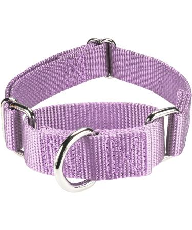 Mikivery Violet Martingale Dog Collar | Adjustable Safety Choke Training Collar for Medium & Large Dogs M 35.5cm-53cm - Buy Online on GoSupps.com