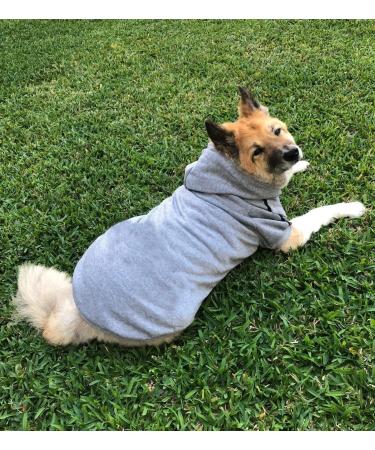 Ducomi Hood Dogs Sweatshirt | 100% Cotton Medium Dog Sweater | Warm Monochrome Coat for All Breeds | Sizes XS to 9XL (Gray 3XL) - Buy Online on GoSupps.com