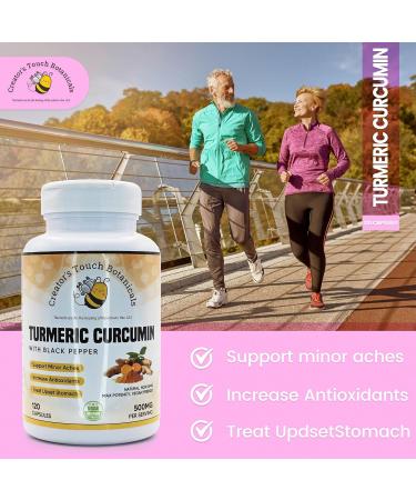 Creator's Touch Botanicals Turmeric Curcumin Supplement 120 Vegetable Capsules 100% Pure and Natural Turmeric Curcumin (Curcuma Longa) - Buy Online on GoSupps.com