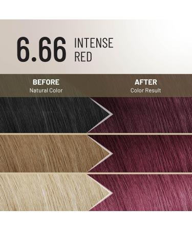 Alfaparf Milano Il Salone Plex Rebuilder Color Kit 6.66 Rouge Intense - coloration permanente en cr me - Buy Online on GoSupps.com