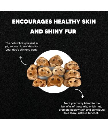 Premium Feeders Smoked Pig Snout for Dogs 10 Pig Snouts Made in Canada - Natural Loyalty Dog Treats for Large Dogs - Healthy Dog Chew - High Protein Treat - Strong Bones Shiny Fur Healthy Skin - Buy Online on GoSupps.com