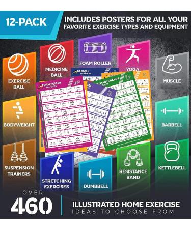 Optimal Home Fitness Studio: 12 Laminated Exercise Posters for Men & Women - Yoga Dumbbells & More - Buy Online on GoSupps.com