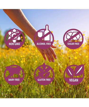 Siddha Remedies Hearing | Ear Ache & Ringing Relief | Homeopathic Medicine for Adults | Non-GMO, Alcohol-Free, Gluten-Free, Sugar-Free - Buy Online on GoSupps.com