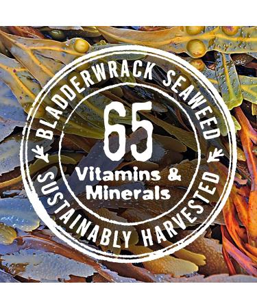 Seaweed Bath Co. Hydrating Exfoliating Body Scrub - Citrus Vanilla, 6oz | Vegan, Paraben-Free, Nutrient Rich - Buy Online on GoSupps.com