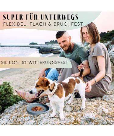 NE & NO Food Bowl for Small Dogs & Puppies - Silicone Wide Design for Dry & Wet Food - Travel & Camping Bowl (Steel Blue) - Buy Online on GoSupps.com