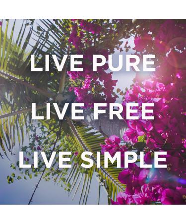 Petal Fresh Pure Clarifying Mandarin & Mango Body Butter - Organic Coconut, Argan & Shea Butter - Purifying & Toning - Vegan, Cruelty-Free - 8 oz - Buy Online on GoSupps.com