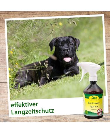 CDVET NATURDEDEDE INSETOVET Spray 500ml - Effective Flea & Tick Protection for Dogs & Cats - Instant Insect Defense & Parasite Prevention - Buy Online on GoSupps.com