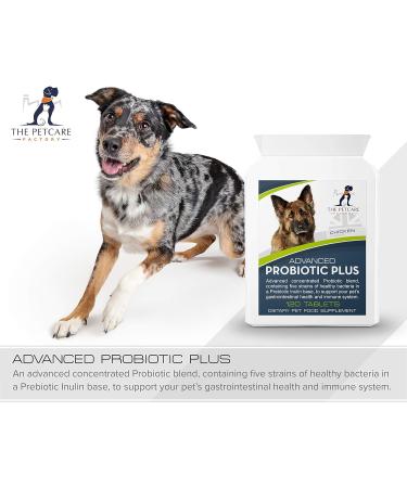 Advanced Probiotic Plus 5 Powerful Strains of Bacteria in a Prebiotic Inulin Base 2 Billion CFUs Per Tablet Plus Digestive Enzymes 120 Tablets UK Manufactured to GMP Standards - Buy Online on GoSupps.com