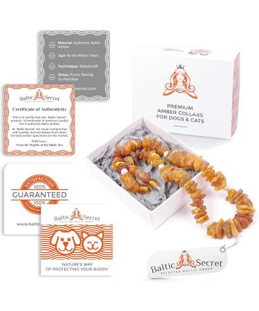 Buy Bold Chain for Dogs & Cats | 100% Baltic Amber | Natural Tick Protection | Vermin Collar for All Sizes - Baltic Secret - Buy Online on GoSupps.com