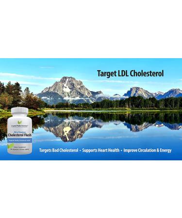 Cholesterol Supplement - Natural Ingredients for Healthy HDL and LDL Levels, Arteries, Heart & Circulation - 60 Capsules - Buy Online on GoSupps.com