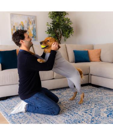 Shed Defender Body Suit for Dogs - Anti-Shedding & Calming Jumpsuit XL (28-38KG) - Reduce Dog Hair Surgery Recovery E-Collar & Hot Spot Relief - Heather Gray - Buy Online on GoSupps.com