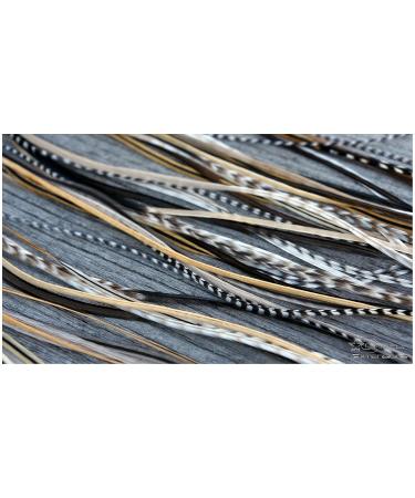 Buy Grizzly Extensions Feather Extensions 1x EasyIn Nature - Best Quality International Shipping - Buy Online on GoSupps.com