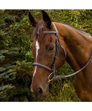 Henri de Rivel Fancy Raised Padded Bridle with Laced Reins Havana Cob