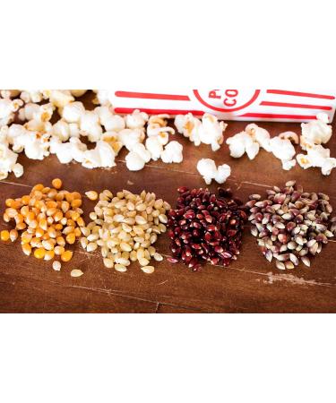 Amish Country Popcorn Variety Sampler - 4 oz Bags | Baby White, Red, Medium Yellow & Purple Kernels | Non-GMO & Gluten Free - Buy Online on GoSupps.com