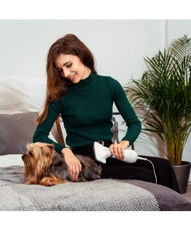 KUUBIA Pet Hair Dryer | Portable 2-in-1 Grooming Dryer with Brush | Adjustable Temperature for Small & Medium Dogs/Cats - Buy Online on GoSupps.com