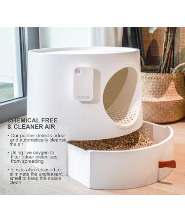 Doxie Pet Odor Remover & Air Purifier with UV-C Light Deodorizer | Eliminates Germs, Mold, and Pet Smells | Room Freshener for Small Spaces - Buy Online on GoSupps.com