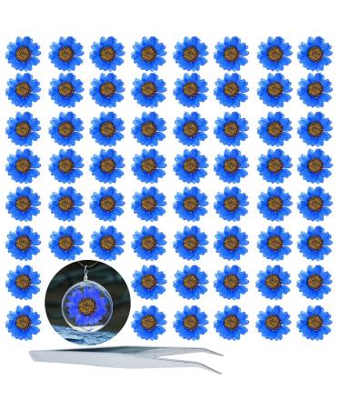 HEISENLIN Dried Pressed Flower  60PCS Blue Natural Real Pressed Dried Daisy Flowers  Dry Flowers with Forceps for Resin Jewelry Soap Scrapbooking DIY Candle Decoration Nail Pendant Crafts Making Daisy-blue
